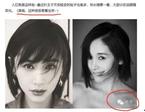 明星黑料最新,明星黑料曝光，真相背后引人深思